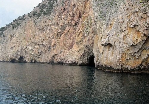 Севастопольские ученые в пещерах Черного моря открыли новый вид живых существ