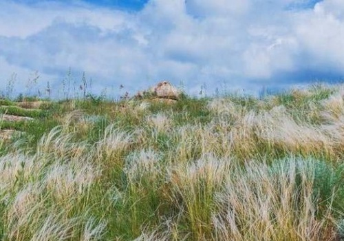 В Крыму создали особо охраняемую природную территорию «Парпачский гребень»
