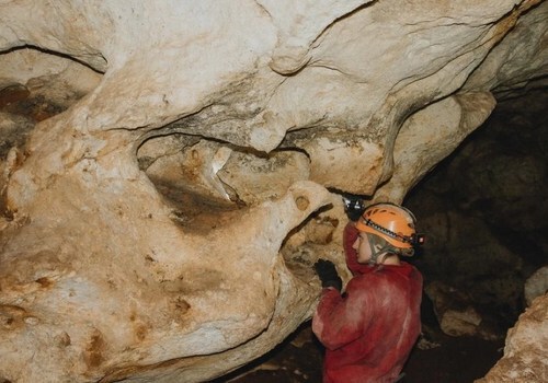 Лабиринты и следы когтей: В пещере «Таврида» готовят первую экскурсию