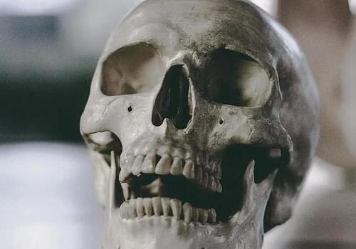 Ученые нашли череп эпохи бронзы со следами прижизненной трепанации в Крыму