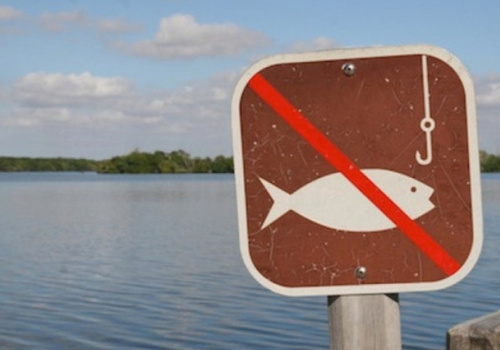 Названы районы Черного моря, где запрещено ловить рыбу