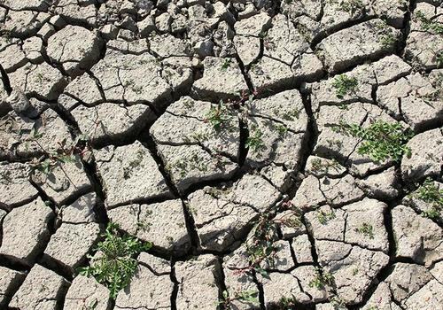 В Гидрометцентре предупредили о летней засухе в Крыму 