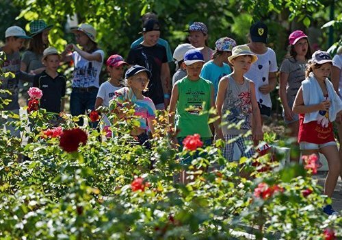 Крымские лагеря смогут принимать на отдых детей с конца мая - указ 