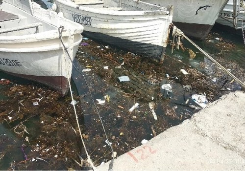 «Стыдно за любимый город»: Почему море в Балаклаве завалено мусором ФОТО