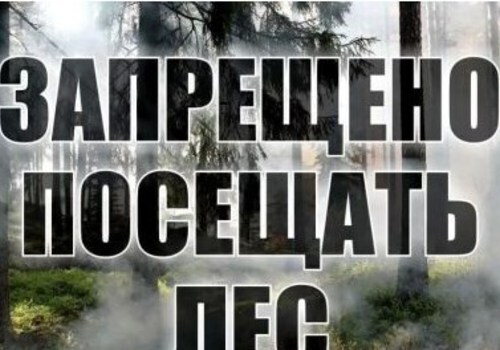 Доступ в леса Крыма на майские праздники будет закрыт