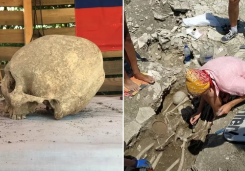 Ученые разгадали тайну обнаруженных в Крыму черепов «инопланетян»  
