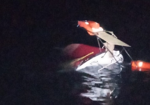 В Крыму из-за медузы затонуло прогулочное судно