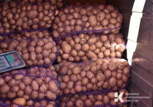 В Крыму снова дорожает картофель