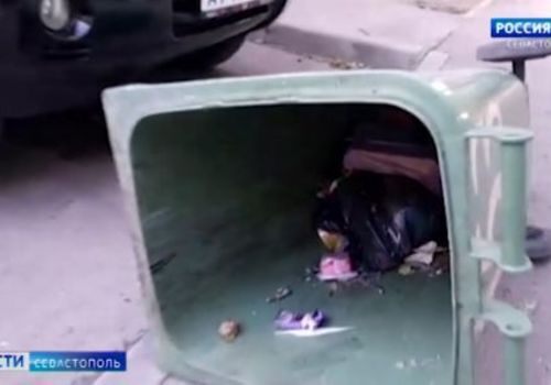 Жителей нескольких домов Севастополя атаковали крысы ВИДЕО