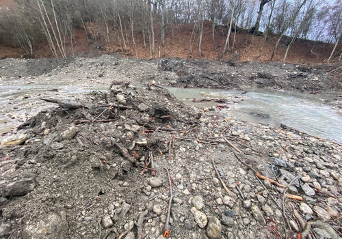 В Крыму неизвестные лесорубы перепутали расчистку реки с вырубкой