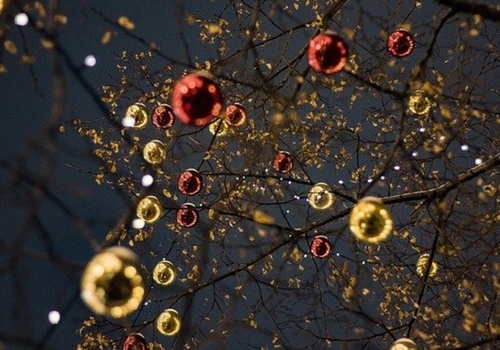 В Севастополе установят 11 новогодних ёлок
