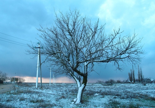 Зима пришла неожиданно: в евпаторийских соцсетях появились первые "снежные" фото города ФОТО - соцсети