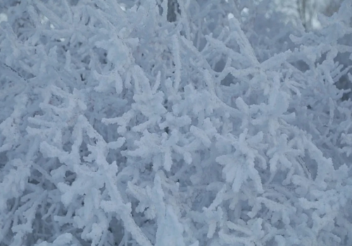 Когда на солнце нет пятен: Астрофизики советуют крымчанам готовится к холодной зиме