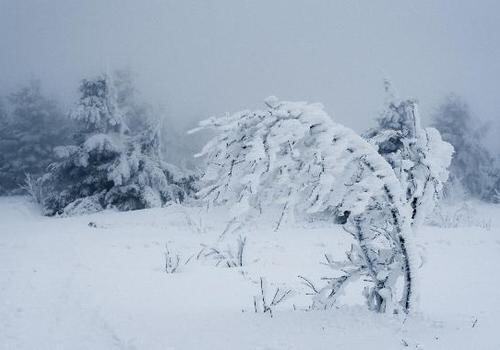 На Крым надвигается снегопад
