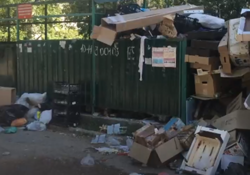 ​Жизнь с видом на мусор: севастопольцы жалуются на качество уборки бытовых отходов ВИДЕО