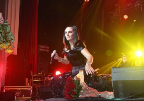«В такой обстановке продолжать нельзя»: концерт Елены Ваенги в Феодосии прервали из-за сообщения о вооруженном мужчине