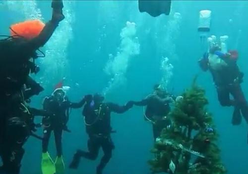 Дайверы нарядили новогоднюю елку под водой в Феодосии