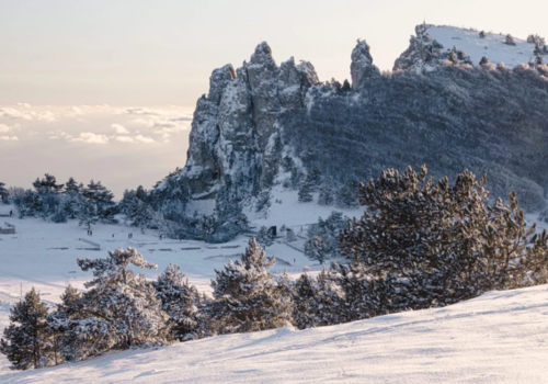 Крымские горы занесло снегом: 5 атмосферных фото плато Ай-Петри в январе 2023