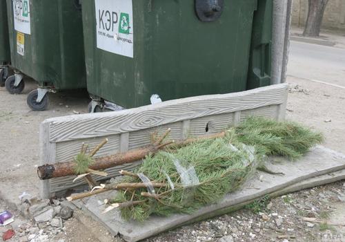 В Феодосии таки начали выбрасывать новогодние елки ФОТО