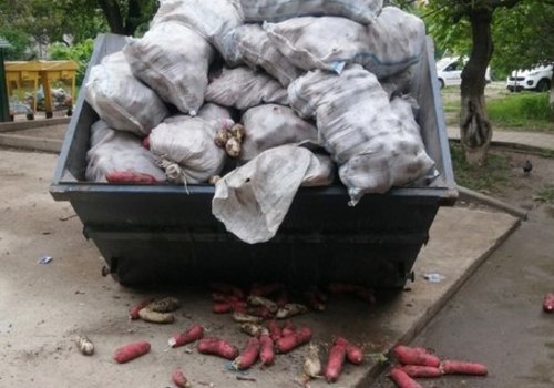 Симферопольцы пожаловались на продавцов «Привоза», выбрасывающих пропавшие продукты в контейнеры возле домов