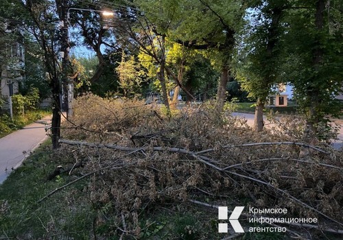 Одна из улиц Симферополя превратилась в кладбище веток