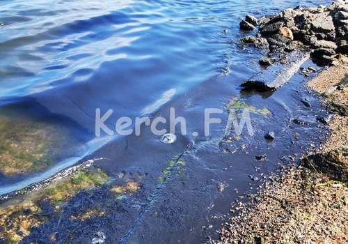 На новой набережной в Керчи плавают нефтяные медузы