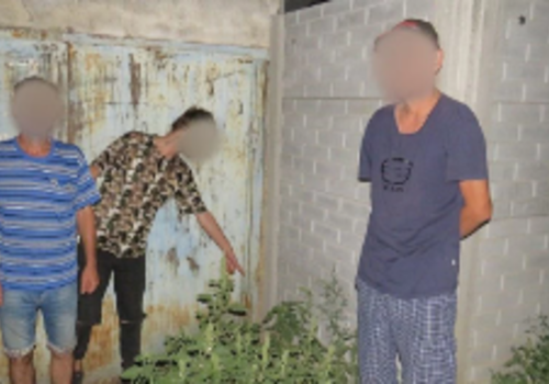 В Крыму поймали закладчика: его могут посадить на 15 лет