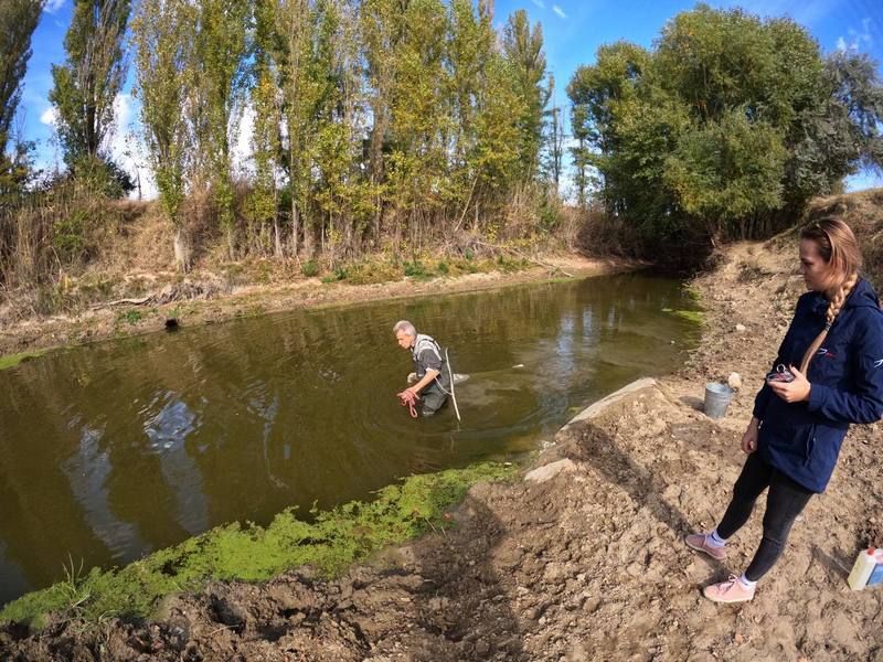 Донные грунты и донные отложения