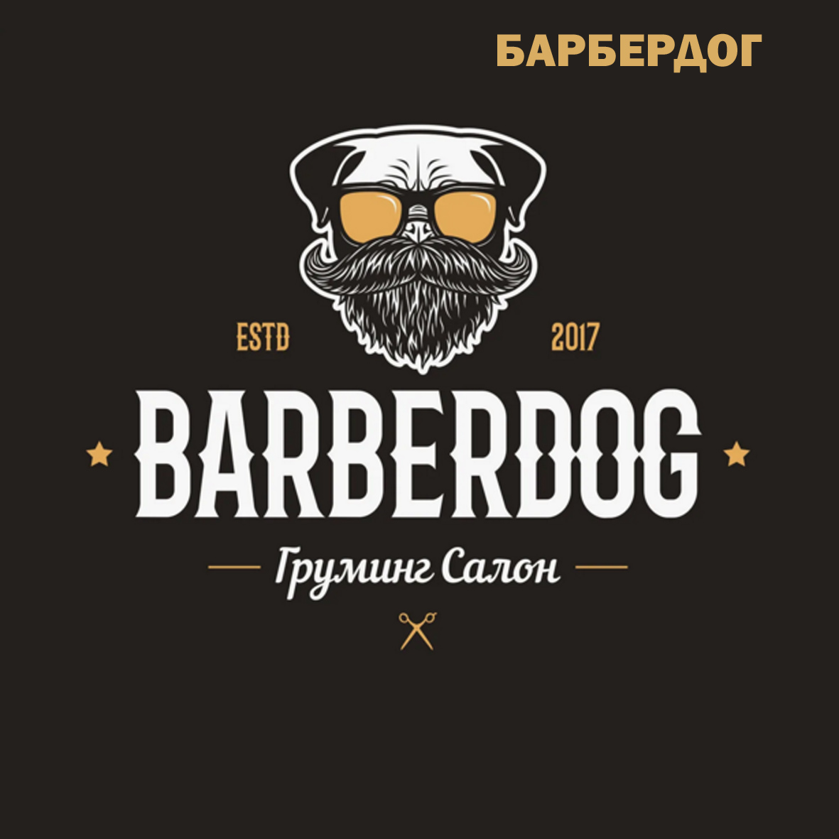 Груминг салон «BARBERDOG» в Севастополе: стрижки и уход за животными. —  «Реклама Севастополя».