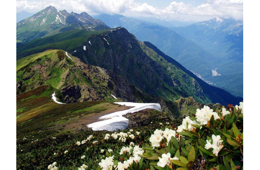 Новогодние туры из Севастополя - Кавказ, Абхазия, Сочи, потрясающие предложения для Вас