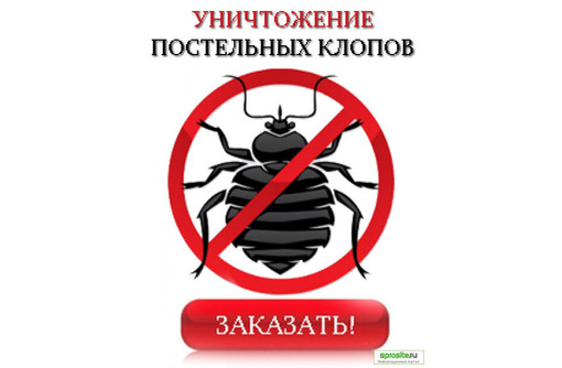 Дезинсекция, дератизация и дезинфекция в Севастополе – «ДезКрым»: качество гарантировано!