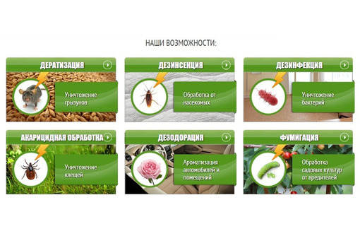 Дезинсекция, дератизация и дезинфекция в Севастополе – «ДезКрым»: качество гарантировано!