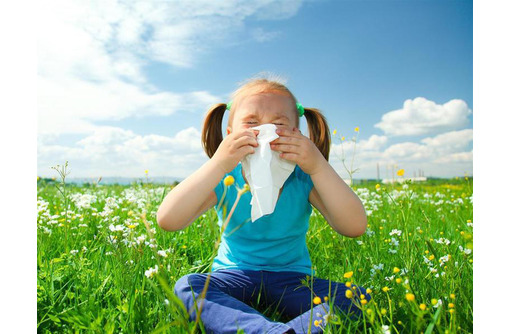 Анализ на аллергию в Симферополе: где можно сделать