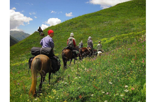 Где в Крыму предлагают конные прогулки