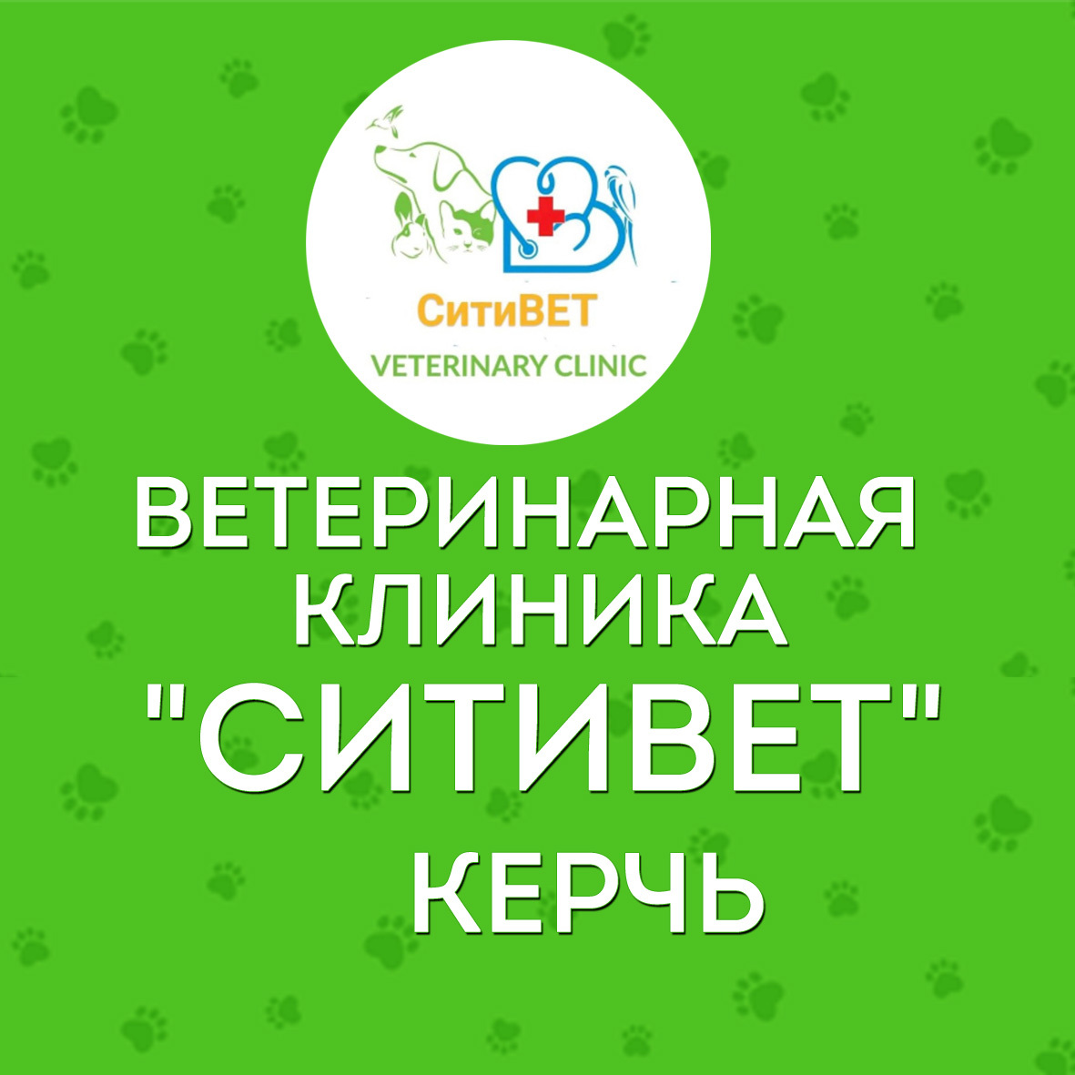 СитиВЕТ» - современная ветеринарная клиника для животных в Керчи — «Реклама  Керчи».